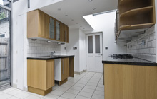 Paintmoor kitchen extension leads